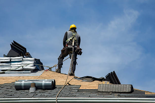 Professional Metal Roofing technician working in Hudson, IA